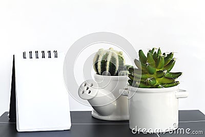 Cactus plastic with notepad. Stock Photo