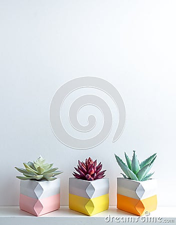 Cactus pot. Concrete pot. Modern geometric concrete planter Stock Photo