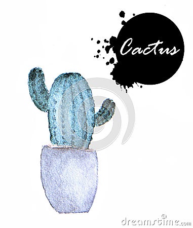 Cactus in pot Stock Photo