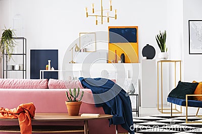 Cactus in pot on the wooden table in modern living room apartment of art collector, lot of paintings on the wall Stock Photo