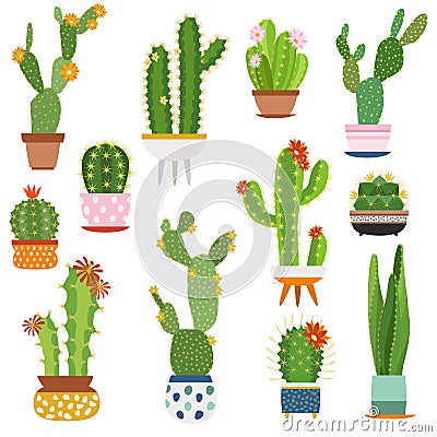 Cactus pots. Home plants cacti flowers in ceramic pot succulent plant, cactuses with prickles flora garden Vector Illustration