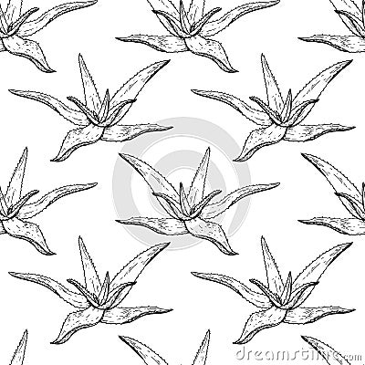 Cactus seamless vector pattern. Vector Illustration