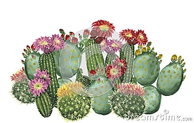 Cactus set Stock Photo