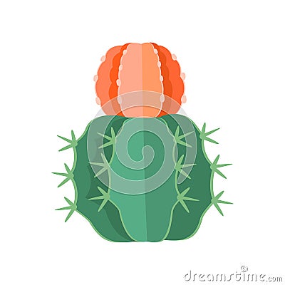 Cactus and succulent colorful cartoon vector illustration Vector Illustration
