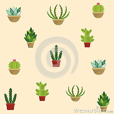 Cactus succulent plants pots background Vector Illustration