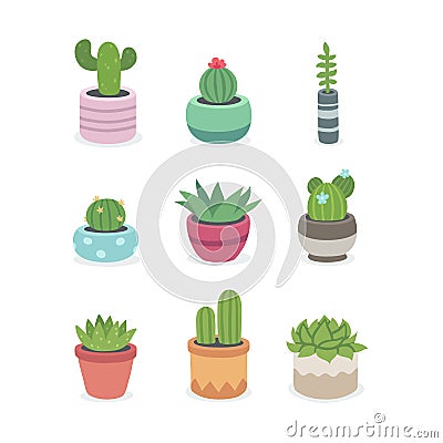 Cactus and succulent plants in pots Vector Illustration