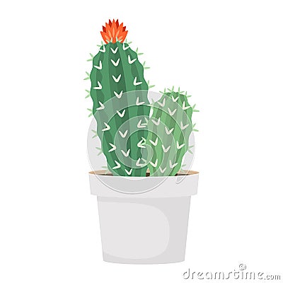 Cactus and succulent in pot domestic colorful cartoon vector illustration Vector Illustration