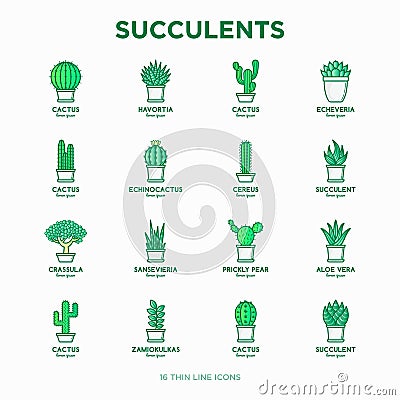 Cactus and succulents in pots thin line icons set. Modern vector illustration for shop of plants Vector Illustration