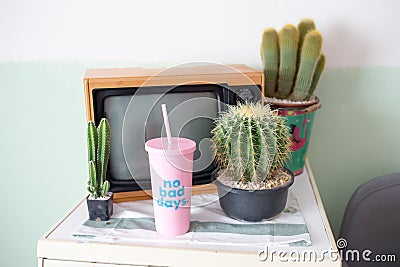 Cactus, television and Plastic glass Stock Photo