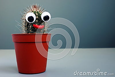 Cactus with toy eyes as face. Weird funny background Stock Photo