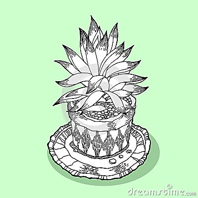 Cactus tree in flowerpot house decoration coloring hand drawn vector illustration Cartoon Illustration