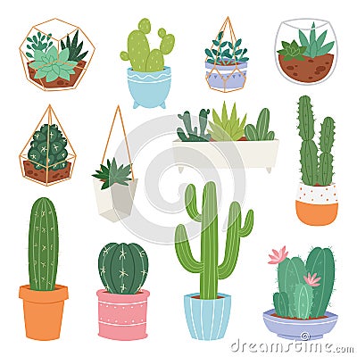 Cactus vector cartoon botanical cacti potted cute cactaceous succulent plant botany illustration isolated on white Vector Illustration