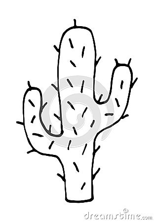 Cactus vector doodle cartoon Hand drawn illustration Cartoon Illustration