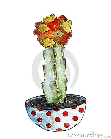 Cactus in watercolor Cartoon Illustration