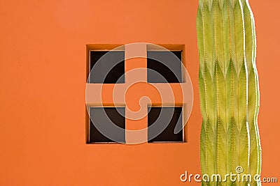 Cactus Window Stock Photo