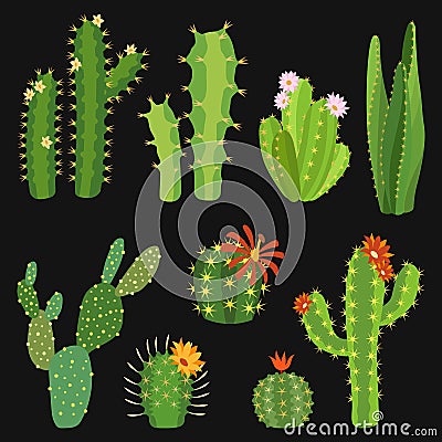 Cactuses. Cactus flower collection, exotic summer green cacti plants without pots with red and pink blossoms, desert Vector Illustration