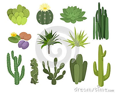 Cactuses Flat Icon Set Vector Illustration