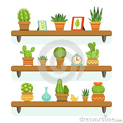 Cactuses in pots stand on the shelves. Decorative plants set isolate on white background. Vector illustrations set Vector Illustration