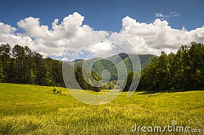 Cades Cove Great Smoky Mountains National Park Spring Scenic Landscape Stock Photo