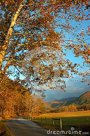 Cades Cove Road. Stock Photo