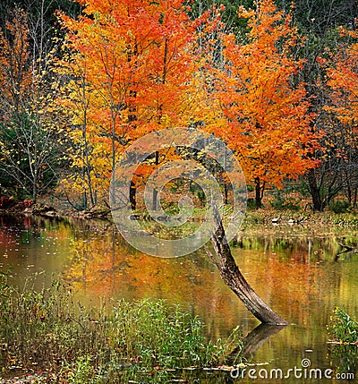 Caesar Creek Autumn Stock Photo