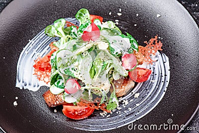 Caesar`s creative feed. Traditional salad with grilled chicken, tomatoes, cheese, spinach and cream sauce Stock Photo