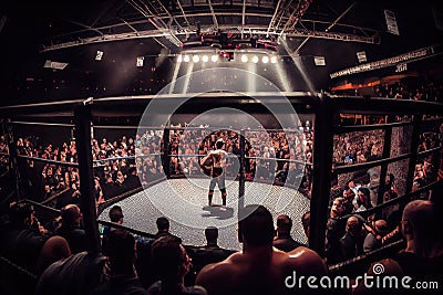 cage fight arena with crowd of people cheering in the background Stock Photo