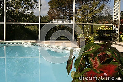 Caged Pool with Flowers Stock Photo