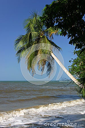 Cahuita Stock Photo