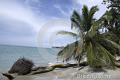 Cahuita National Park beach, Costa Rica, Caribbean Sea Stock Photo