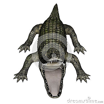 Caiman roaring - 3D render Stock Photo