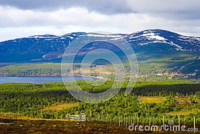 The Cairngorms Mountains, Highlands, Scotland Stock Photo