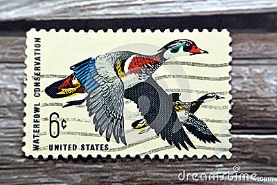 Old used American Stamp printed in United States of America 1968 6 cents features flying ducks Waterfowl Conservation stamp Editorial Stock Photo