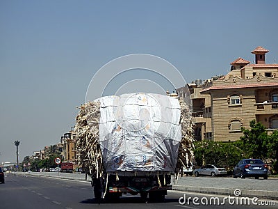 Cairo, Egypt, July 29 2023: Transporting sugarcane wastes such as bagasse, molasses, cane trash, filter mud and vinasse that used Editorial Stock Photo