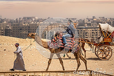 CAIRO, EGYPT - MAY 18 2021: Bedouin camel driver rides an Asian tourist from China on a camel, on the Giza plateau. Asian tourist Editorial Stock Photo