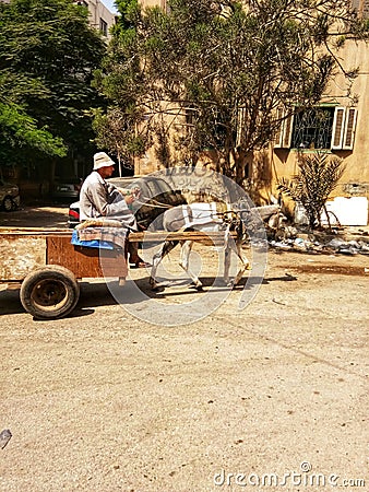 Cairo, Egypt - 17 September 2017: Arabian man rides a donkey on the street Editorial Stock Photo