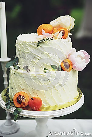 Cake with apricots Stock Photo