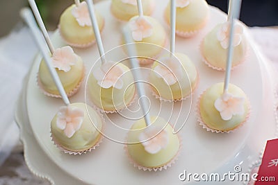 Cake pops and cupcakes Stock Photo