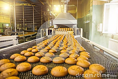 Cakes on automatic conveyor belt or line, process of baking in confectionery culinary factory or plant. Food industry Stock Photo