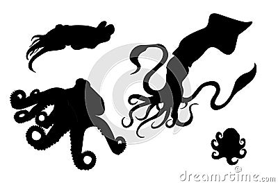 Calamari, octopus, squid isolate Stock Photo