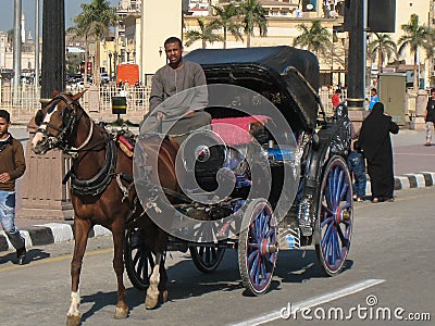 Calash driver. Luxor. Egypt Editorial Stock Photo