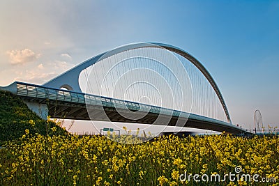 Calatrava Bridge Editorial Stock Photo