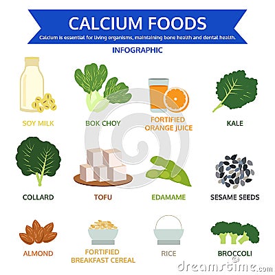 Calcium foods, food info graphic, icon vector Vector Illustration