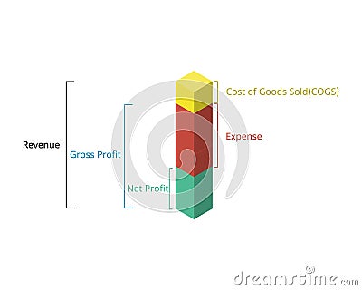 Calculate gross profit and net profit to see the difference in balance sheet Vector Illustration