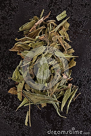 Calea zacatechichi. Mexican dream herb. Stock Photo