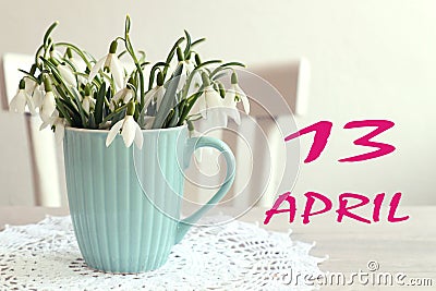 Calendar for April 13: the name of the month April in English, the numbers 13, a bouquet of snowdrops on the background of a Stock Photo