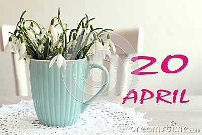 Calendar for April 20: the name of the month April in English, the numbers 20, a bouquet of snowdrops on the background of a Stock Photo