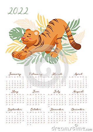 Calendar for 2022 Cute stretching tiger growls roar, vector illustration in cartoon style. For For children, study, work Vector Illustration