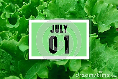 Calendar date oncalendar date on the background of green lettuce leaves. July 1 is the first day of the month Stock Photo
