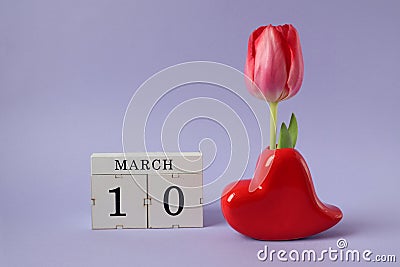 Calendar for March 10: cubes with the number 10, the name of the month March in English, a scarlet tulip in a heart vase on a Stock Photo
